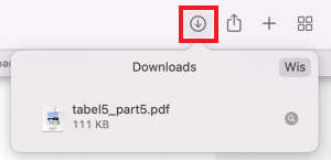 knop downloads safari